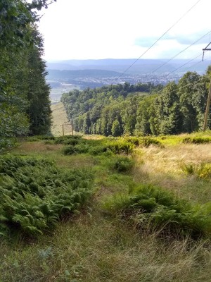 IMG_20220811_171238775_HDR.jpg