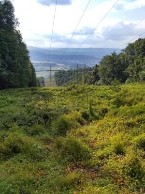 IMG_20220811_171140877_HDR.jpg