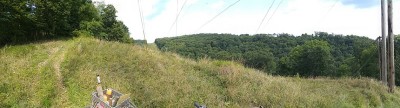 IMG_20220811_170327440.jpg