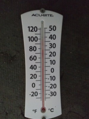 IMG_20220811_164531751.jpg
