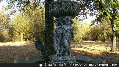 DSCF0452.JPG