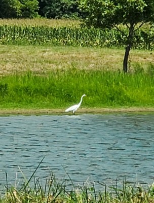 20220824_130408.jpg