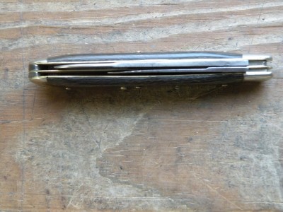 DSCN0869.JPG