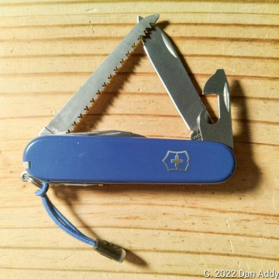 Camper With Blue Scales.jpg