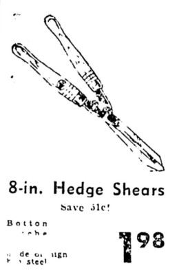 Sears Ad.