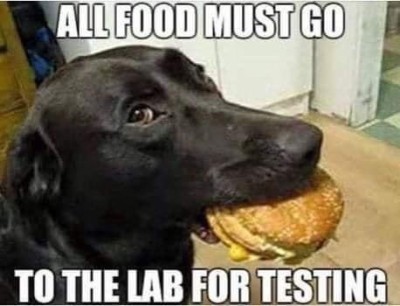 78FD017F-2E67-4BF4-A2E9-C0357A5ACA1F.jpeg