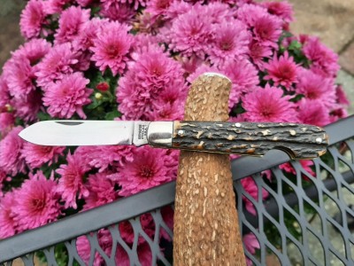 thumbnail_20221005_120206 (2).jpg