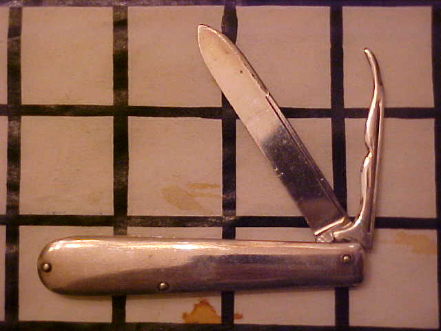 UnmarkedSilver06.JPG