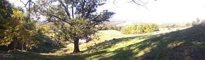 IMG_20221009_113707875.jpg