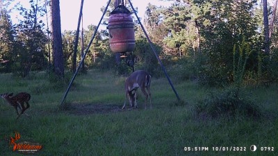 A little one enjoying life.