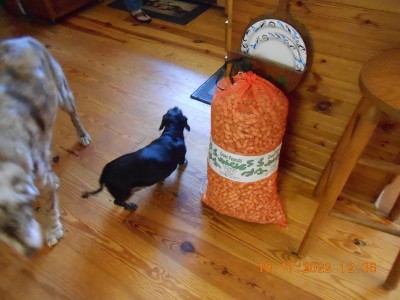30# bag of peanuts being inspected by the crew.