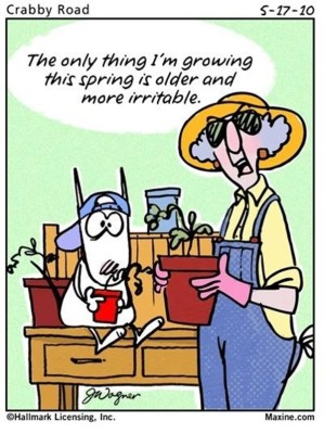 Growing Old.jpg