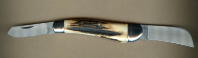 Rhidian stag616.jpg