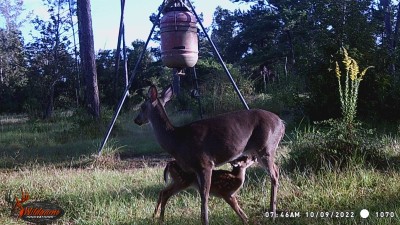 WGI_1070.JPG (305.5 KiB) Viewed 1361 times Breakfast