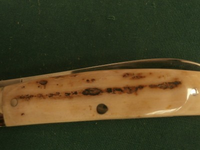 PA180011.JPG