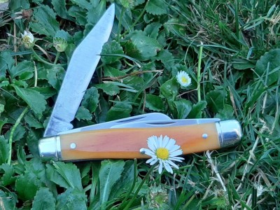thumbnail_20200906_182933.jpg