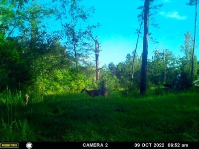 Early morning sun spotlighting a little one.