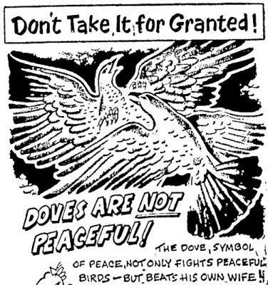image.jpeg