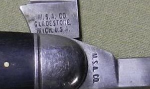 MSA folder 1 (2).jpg