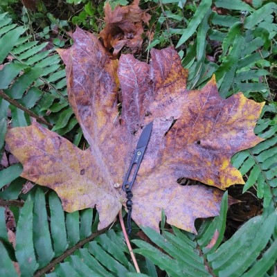 20221026_175429_copy_907x907.jpg