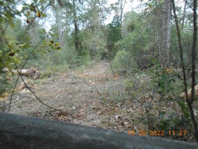 This is the view from inside the shooting house.