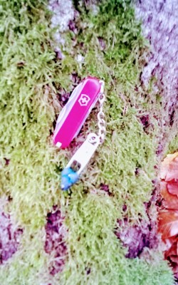IMG_20221030_142138_070~2.jpg