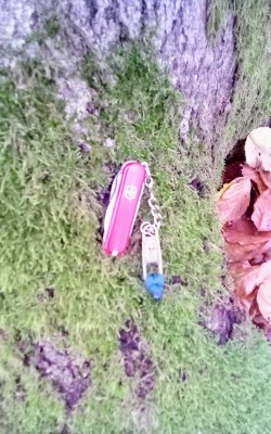 IMG_20221030_142201_325~2.jpg