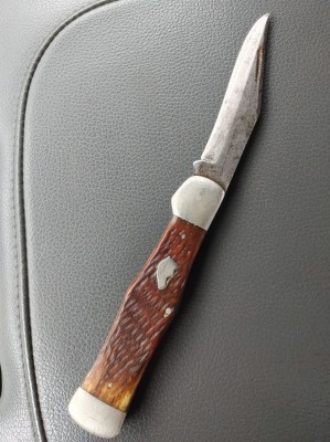 kbar dog.jpg