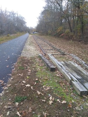 2022-11-06_13-16-56_-_cycling.jpg