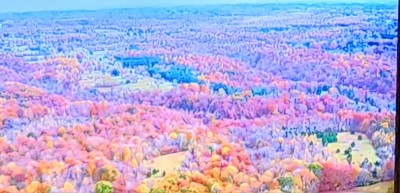 20221101_172809.jpg