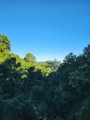 20220929_084216.jpg
