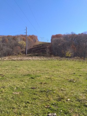 IMG_20221109_110937573.jpg