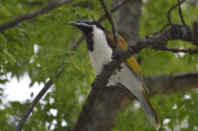 DSC_0035.JPG