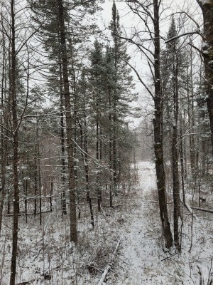 20221114_160143.jpg
