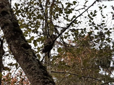 thumbnail_20221116_161856.jpg