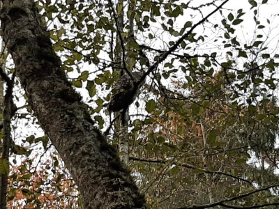 thumbnail_20221116_161854.jpg