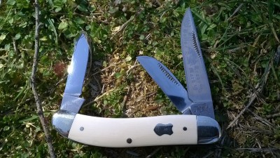 WP_20180320_001.jpg
