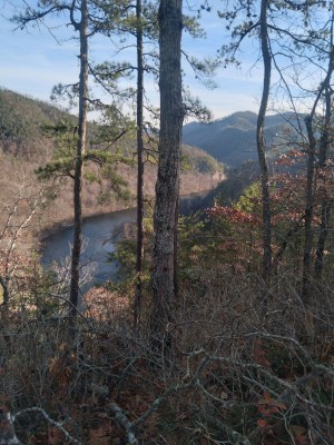 20221126_085811.jpg
