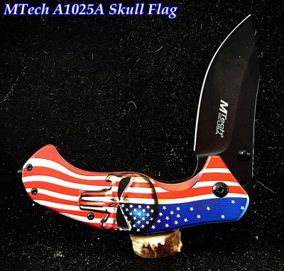 MTech A1025A Skull Flag - Labeled.JPG