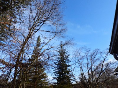 C7ED70FD-A9D4-441B-A5C3-7D3B4CA97509.jpeg