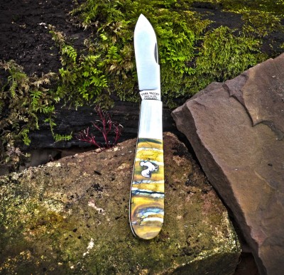 2022-tuna-norman-yellow-tooth-01lo.jpg