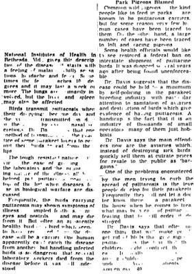 Article Part 3 And Part 4 (The End).