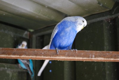 DSC_3280.JPG