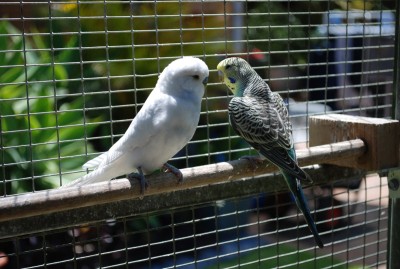 DSC_3281.JPG