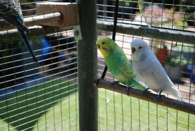 DSC_3282.JPG