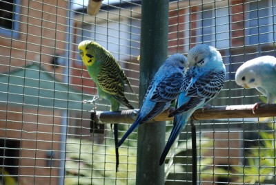 DSC_3283.JPG