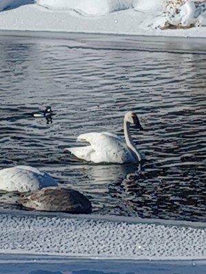 20221208_131303.jpg