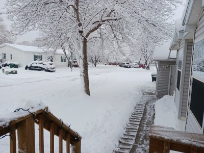 20221209_093952.jpg