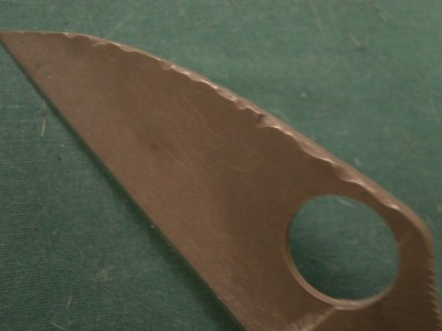 PC100026.JPG