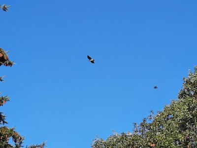 thumbnail_20221216_142351.jpg